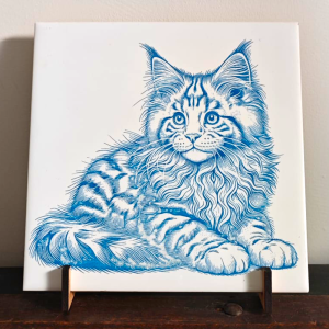 Maine Coon Napoleon